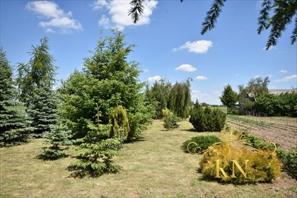 Działka siedliskowa na sprzedaż Kolonia Bystrzyca 1 300m2 Foto 2