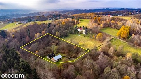 Urokliwy dom drewniany 80 m2 z potencjałem. dom Borówki