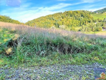 działka na sprzedaż 1000m2 działka Limanowa