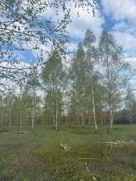 działka na sprzedaż 1005m2 działka Miłoszyce, Brzozowa