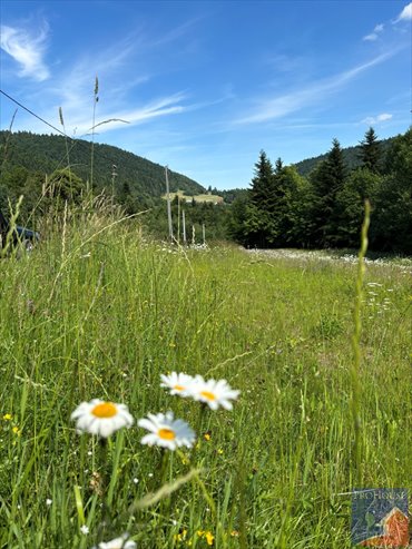 Działka 2094 m² z warunkami zabudowy w Pisarzowej - polecam! działka Pisarzowa