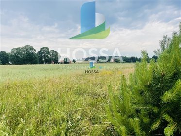 działka na sprzedaż 950m2 działka Szerokopaś