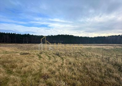 działka na sprzedaż 140073m2 działka Komarowo