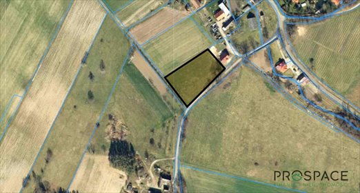 działka na sprzedaż 4250m2 działka Małaszowice