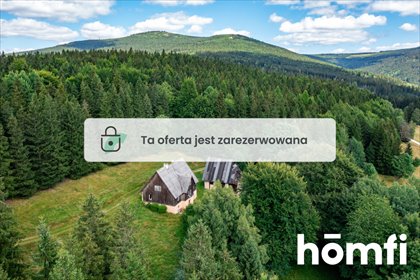 Polecam klimatyczny dom 184 m² w sercu Międzygórza dom Międzygórze, Powstańców Śląskich