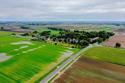 Działka przemysłowo-handlowa na sprzedaż Pilaszków 31 204m2 Foto 5