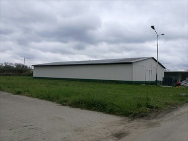 lokal użytkowy na wynajem 150m2 lokal użytkowy Psary, Psary, Główna