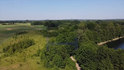 Działka budowlana na sprzedaż Siedliska 2 727m2 Foto 6