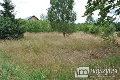 działka na sprzedaż 2694m2 działka Krępsko, Centrum