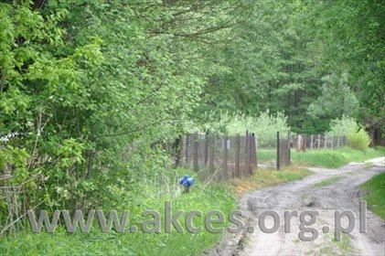 działka na sprzedaż 50000m2 działka Staniszewice