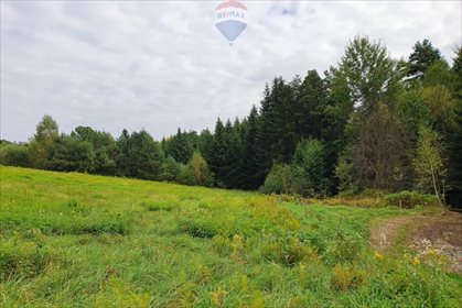 Działka rolna na sprzedaż Bartkowa-Posadowa 15 200m2 Foto 6