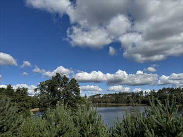 działka na sprzedaż 8994m2 działka Brusy, Leśno