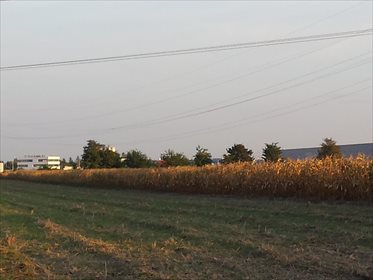 działka na sprzedaż 11000m2 działka Plewiska