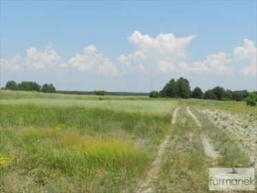 Działka rolna na sprzedaż Gózd Lipiński 11 400m2 Foto 4