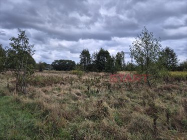 działka na sprzedaż 7800m2 działka Kozerki