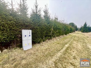 Działka 3007 m² (z możliwością budowy 6 domów) w Gostyncu działka Gostyniec