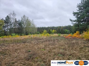 działka na sprzedaż 2457m2 działka Nowe Załubice