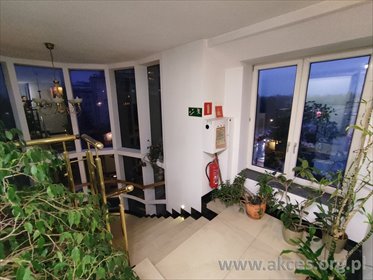 lokal użytkowy na wynajem 126m2 lokal użytkowy Warszawa, Wilanów