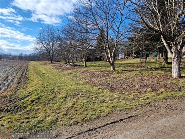 działka na sprzedaż 1261m2 działka Pietrzejowice