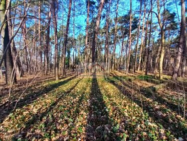 działka na sprzedaż 2019m2 działka Zalesie Górne