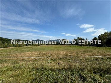 działka na sprzedaż 25232m2 działka Cisna, Strzebowiska