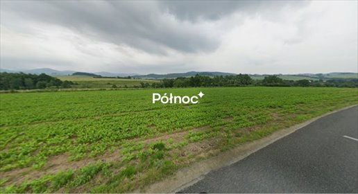 działka na sprzedaż 38600m2 działka Jaszkowa Dolna