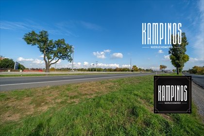 Działka inwestycyjna 18 000 m² Palmiry - zapraszam działka Palmiry