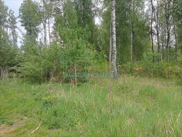 Działka 1500m² z mediami, las i zielona okolica działka Mościska