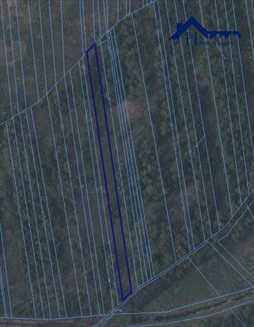 Do sprzedania działka 3376 m² w Łosi Wólce z dostępem do Puszczy Kampinoskiej działka Łosia Wólka