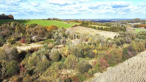 Działka inwestycyjna na sprzedaż Jasienica 32 622m2 Foto 4