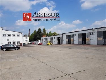 magazyn na sprzedaż 6490m2 magazyn Kalisz