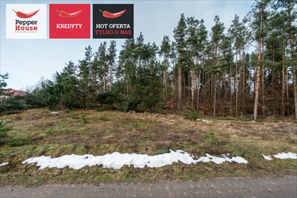 działka na sprzedaż 1888m2 działka Koleczkowo, Leśna