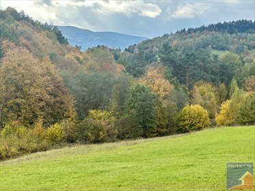 Na sprzedaż działka budowlana 2109 m² z dostępem do drogi działka Kisielówka