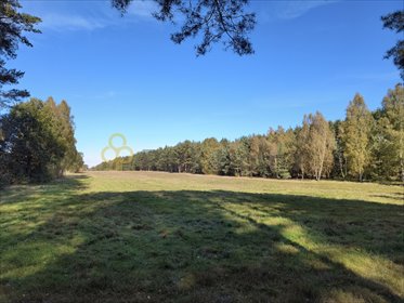 działka na sprzedaż 1997m2 działka Suchleb