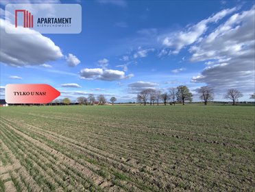 działka na sprzedaż 1419m2 działka Wiśniewa