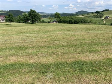 Działka budowlana na sprzedaż Żbikowice 1 226m2 Foto 5