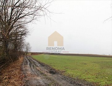 działka na sprzedaż 8100m2 działka Sienice