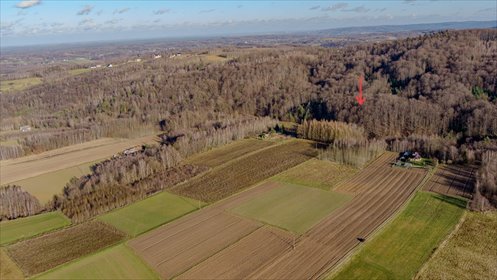 działka na sprzedaż 3100m2 działka Zalasowa