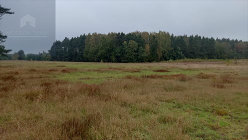 Działka rolna na sprzedaż Podlindowo 120 718m2 Foto 4