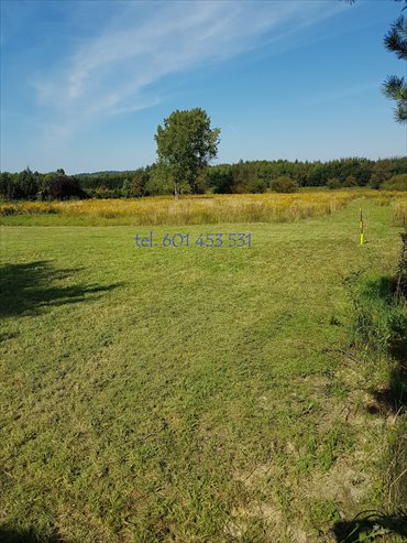 Działka budowlana na sprzedaż Kraków, Prądnik Biały, Bronowice Wielkie, Stelmachów 600m2 Foto 6