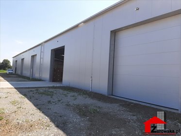Wynajmę magazyn 2000 m² z wysoką 7m halą i bramami w Krapkowicach magazyn Krapkowice