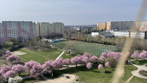 mieszkanie na sprzedaż 63m2 mieszkanie Wrocław, Krzyki, Krynicka