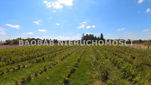 Dom na sprzedaż Skierniewice, Sierakowicka 199m2 Foto 5