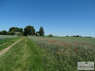 Dom na sprzedaż Elizówka 100m2 Foto 3
