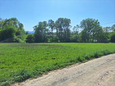 działka na sprzedaż 4785m2 działka Bielsko-Biała, Hałcnów, Głośna