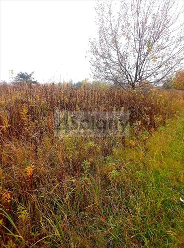 działka na sprzedaż 1140m2 działka Raszyn
