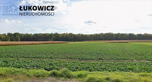 działka na sprzedaż 4644m2 działka Goczałkowice-Zdrój