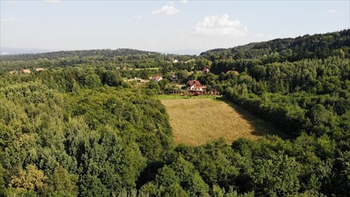 działka na sprzedaż 7800m2 działka Polanica-Zdrój, dr. Alfreda Sokołowskiego
