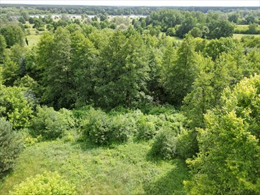 działka na sprzedaż 23915m2 działka Stare Orzechowo