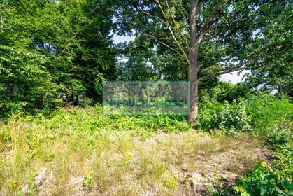 Działka 2028 m² z warunkami zabudowy w Milanówku działka Milanówek